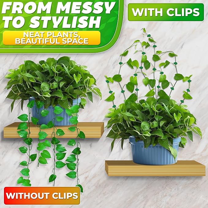 Plant Wall Clips - 60Pcs Money Plant Clips for Wall with 72Pcs Adhesive Stickers for Indoor Decoration, Invisible Design, Thick & Durable Plastic, Easy Installation for Vines & Cables Organization
