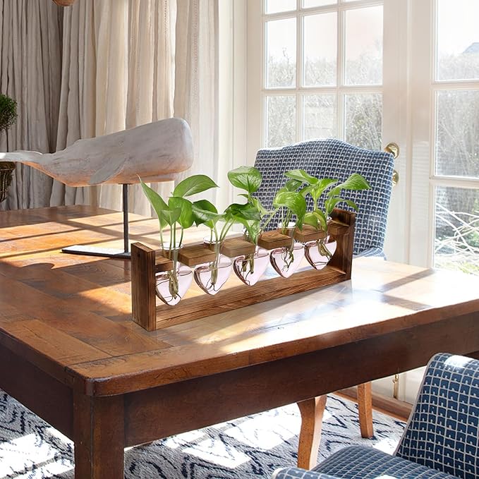 Plant Terrarium Hanging Propagation Stations Gift for Women Plant Lover air Plant Holder with Wooden Stand Heart Glass