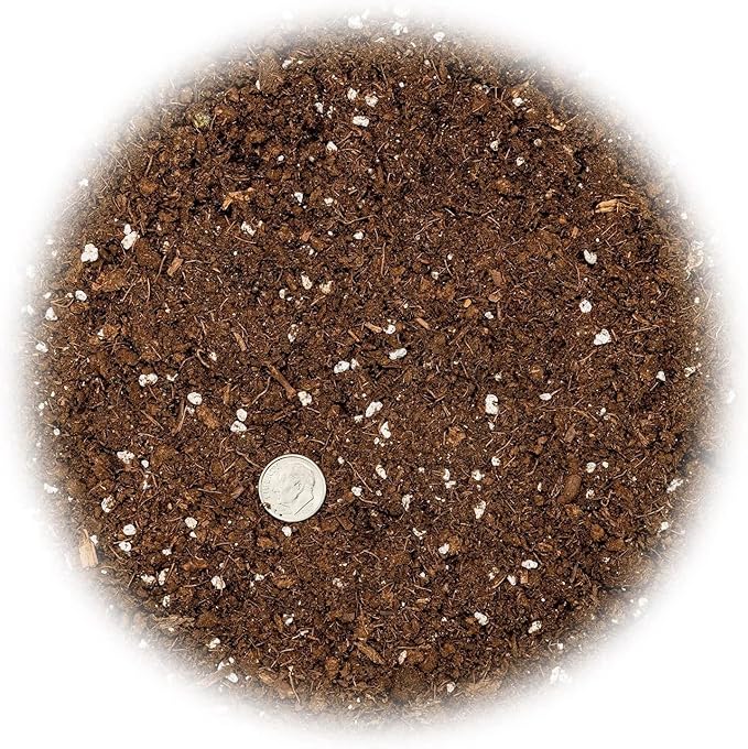 Premium Dracaena Potting Soil Mix - (20 Quart Bag)