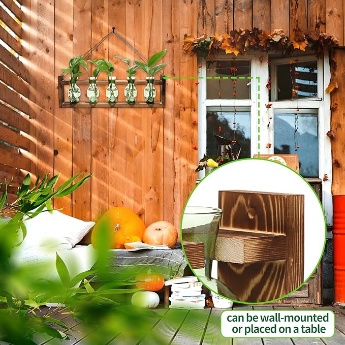 Plant Terrarium Propagation Stations Halloween Skull Planter Vase Skulls Decor with Wooden Stand Gife for Father - 5 Vases