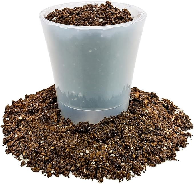 Money Tree Potting Soil Mix for Planting or Repotting Guiana Chestnut, Soil Blended to Properly Grow Money Tree Plants - (1 Quart Bag)