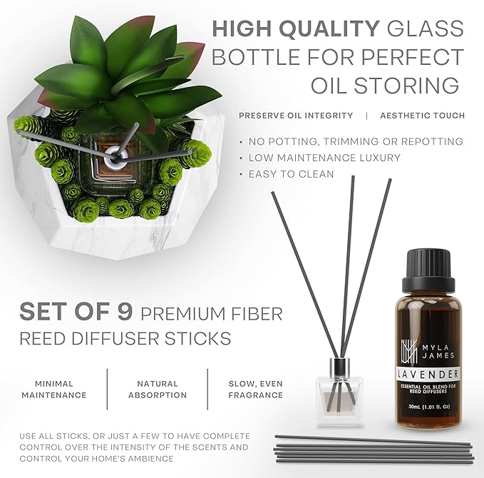 2in1 Reed Diffusers for Home & Faux Succulents Plants Artificial Set-Ceramic Potted Succulents x2 Pcs, Home Fragrance w/Lavender, Lemongrass, Eucalyptus Essential Oilx3 bottles 30ml with 9 Reed Sticks