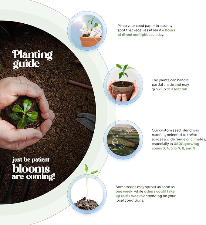 Set of 24 Pink Hummingbird Seed Paper – Plantable Seed Paper Embedded with Wildflower Seeds for Funeral, Memorial & Other Milestone Celebrations