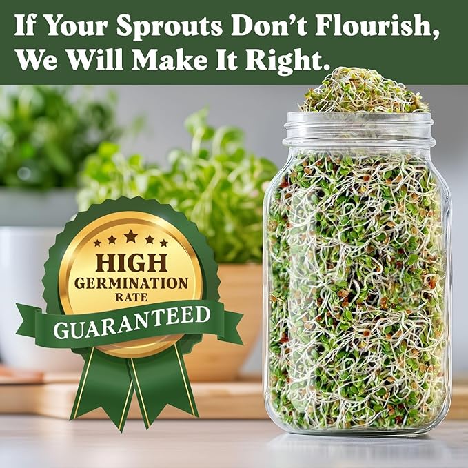 Seedboy Organic Clover Seeds for Sprouting - Non-GMO, USA Grown Microgreens Sprouting Seeds Mix - Makes 8 Quarts of Sprouts, 24 Servings (8 oz) (Red Clover)