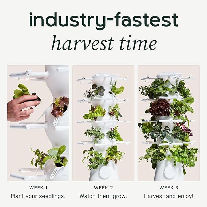 Farmstand Nook 4ft.7” Vertical Hydroponic Garden Tower - Self-Watering, Vertical Hydroponic Tower with LED Grow Lights, 20 Live Seedlings, Smart Timer - Indoor Vertical Growing Tower