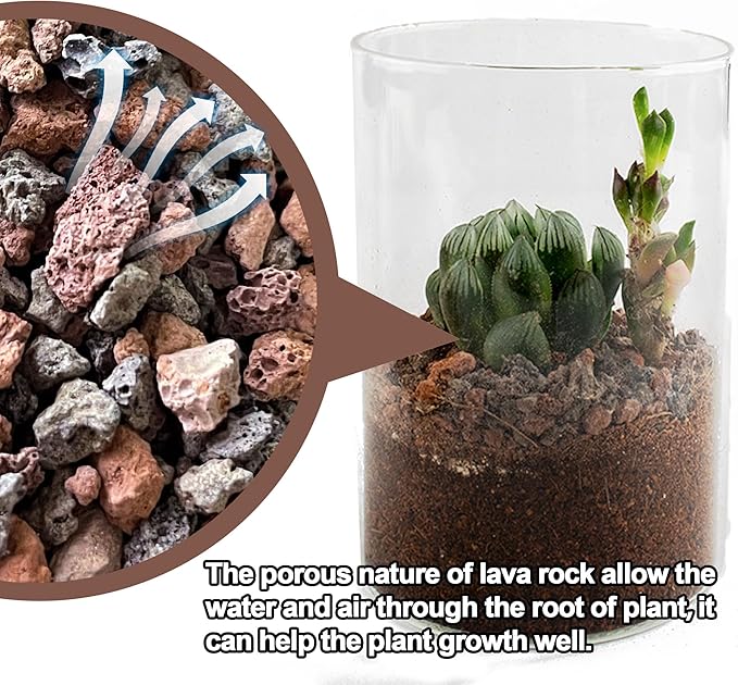 CJGQ 3lb Mix Lava Rocks for Plants-Horticultural Volcanic Rock Gravel for Landscaping Plants Drainage, Succulents, Bonsai, Vase Fillers, Terrarium Plants, Top Dressing