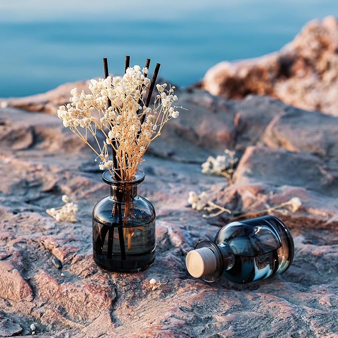 Brakula 2 Pack Reed Diffuser, Fresh Linen + Bamboo (3.38 fl oz Each Pack), Home Fragrance with 12 Sticks, Shelf Decor, Reed diffusers for Home