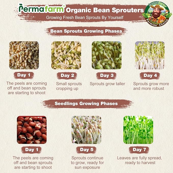Permafarm® Organic Bean Sprouter, Natural Earthen-Clay Mung Bean Sprouter, Sprouts Growing Kit for Soybeans, Broccoli, Alfalfa & More | Lead-Free, Cadmium-Free (Large Size for Family)
