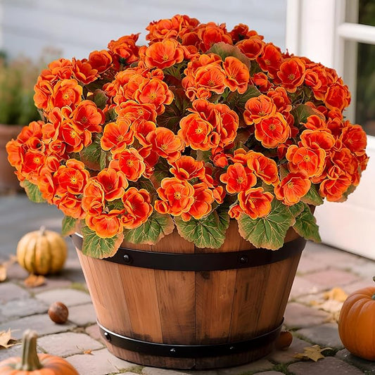 Fake Fall Flowers Artificial for Outdoors Decoration, 6 Bundles Faux Geranium Silk Flower Outside UV Resistant No Fade Artificial Floral for Home Garden Balcony Indoor Table Centerpieces Decor