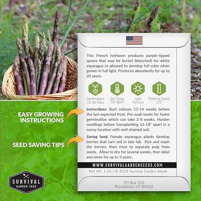 2 Packs Argenteuil Purple Asparagus Seeds for Planting with Instructions to Grow Gourmet French Asparagus in Your Home Vegetable Garden - Non-GMO Heirloom - Survival Garden Seeds