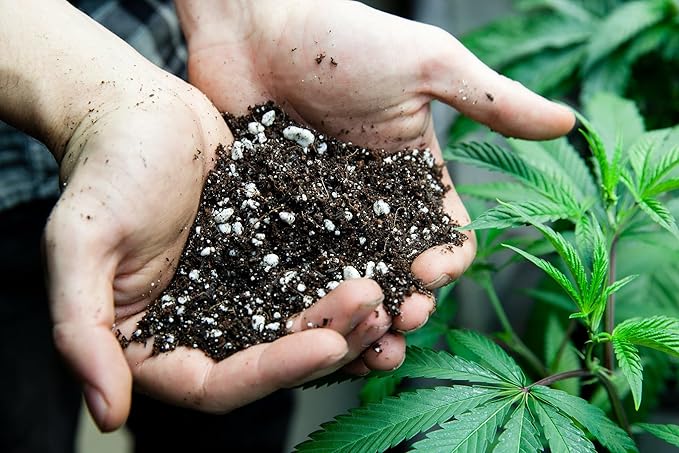 Organic Autoflower Plants Potting Soil Mix - Perfect Balance of Nutrients, Drainage, and Aeration for Thriving Autoflower Plants- 10 Quart