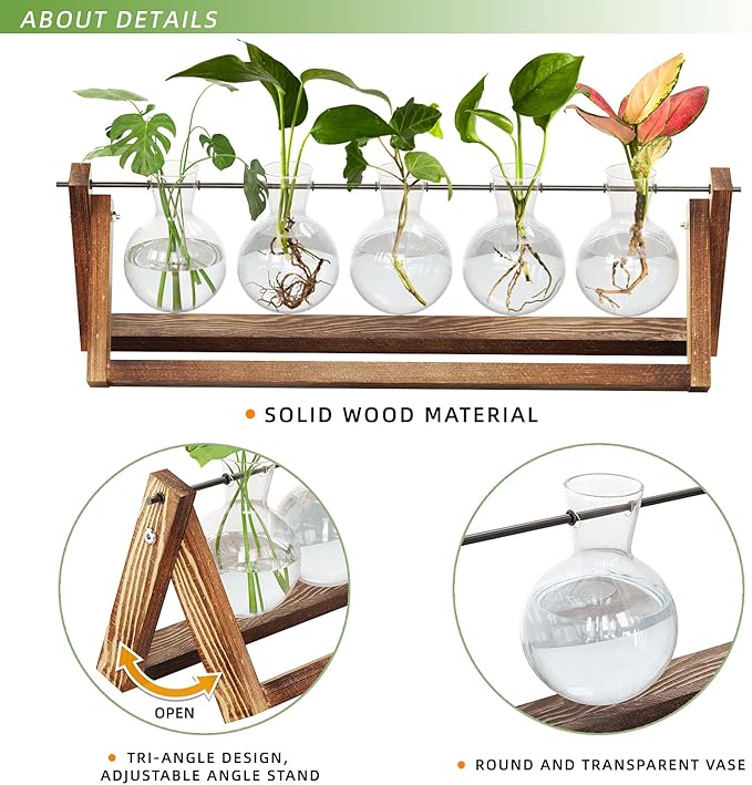 CFMOUR Plant Terrarium with Wooden Stand, Desktop Propagation Stations Glass Air Planter Metal Swivel Holder for Indoor Live Hydroponics Plants Office Home Garden Decor (5 Bulb Vase)