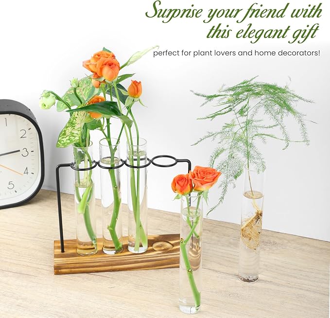 Plant Propagation Station, Glass Tubes for Indoor Hydroponic Plants & Flower Stems, Home/Office Decor, Birthday Gifts for Women, Gardening Gifts for Mom