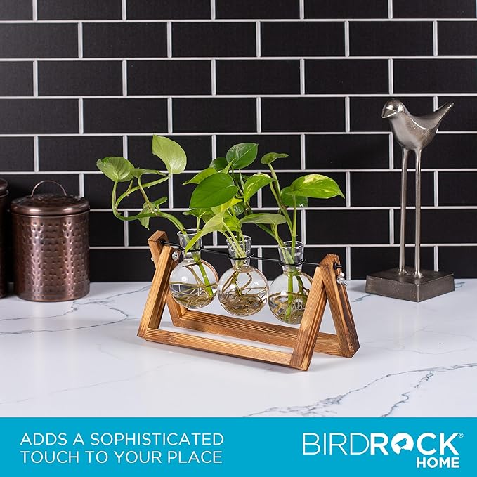 BIRDROCK HOME Plant Propagation Station | 3 Bulb Vase with Wooden Stand Terrarium | Great Gift Idea for The Home Office Garden | Hydroponics Plants