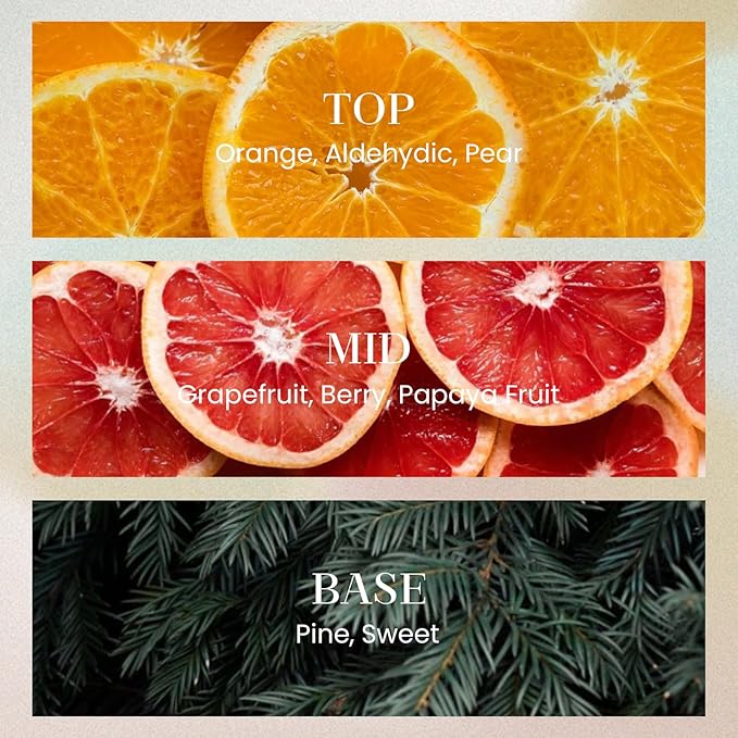 M&SENSE 10.14 oz Large Reed Diffuser Set | Orange Goji Scent Oil Diffuser with Sticks |Hotel Collection Non-Toxic Essential Oil |for Bedroom Bathroom Living Room