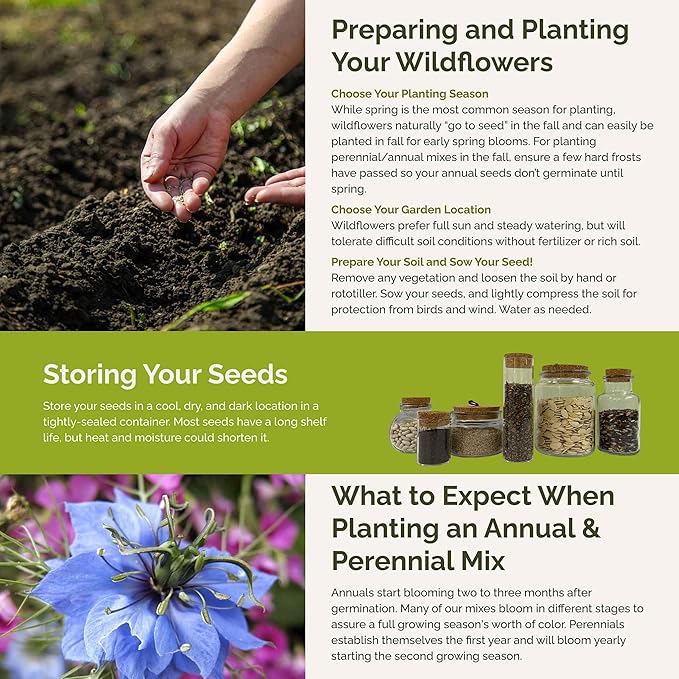 Eden Brothers Blue Ribbon Flower Mixed Seeds for Planting, 1 lb, 480,000+ Seeds with Blue Bell, Cornflower Blue, Chicory | Attracts Pollinators, Plant in Spring or Fall, Zones 3, 4, 5, 6, 7, 8, 9, 10