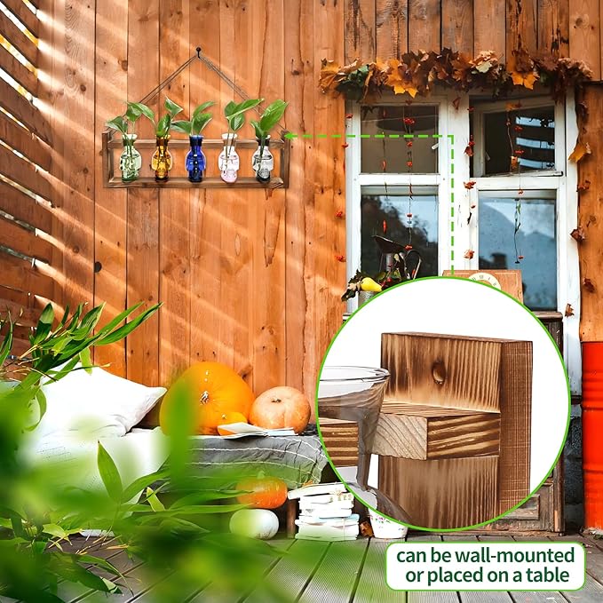 Plant Terrarium Propagation Stations Halloween Skull Planter Vase Skulls Decor with Wooden Stand Gife for Father - 5 Vases