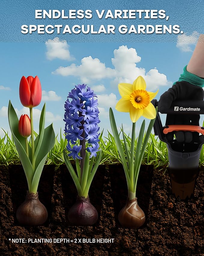 Bulb Planter Tool - One-Touch Automatic Bulb Planter for Bulbs, Seeds & Seedlings - 5" Depth Stainless Steel Garden Bulbs Dibber with Ergonomic Handle - No Bend Planting, Includes Gloves