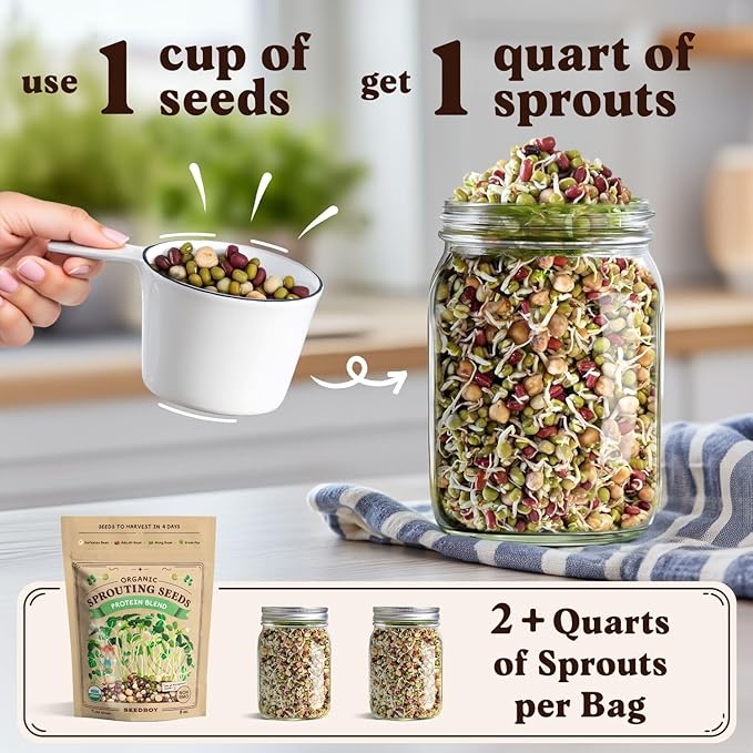Seedboy Organic Sprouting Seeds - Protein Blend Variety - Non-GMO, USA Grown Microgreens Mix - Garbanzo, Mung, Adzuki Beans, Green Pea - Makes 2 Quarts of Sprouts, 12 Servings (8 oz) (Protein Blend)