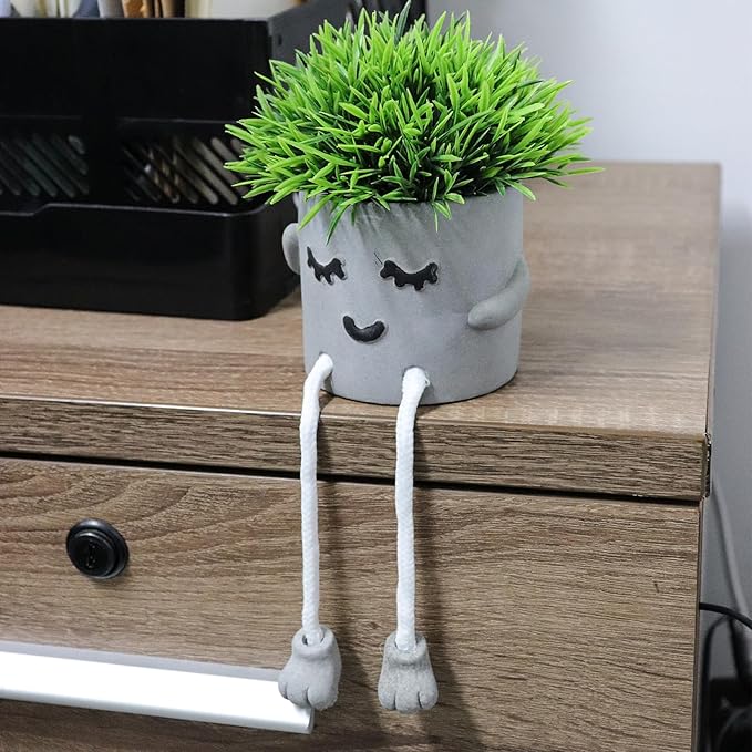 MAKHOT Set of 2 Artificial Succulent Plants in Pots, Fake Plant Faux Succulents Office Desk Decor, Mini Potted Succulents Coffee Table Decor for Women, Cute Decorations for Work Office SmallPlant