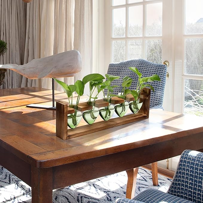 Plant Terrarium Hanging Propagation Stations Gift for Women Plant Lover air Plant Holder with Wooden Stand Heart Glass