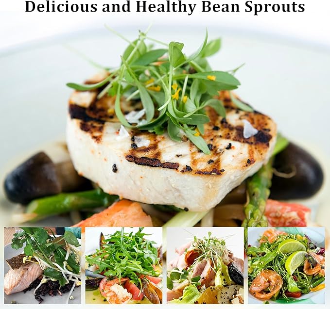 Organic Seed Sprouting Jar Kit – 2 × 32 oz Wide-Mouth Mason Jars with Stainless-Steel Sprouter Lids & Stand, Blackout Sleeves, Drain Tray – Grow Broccoli, Alfalfa & Bean Microgreens