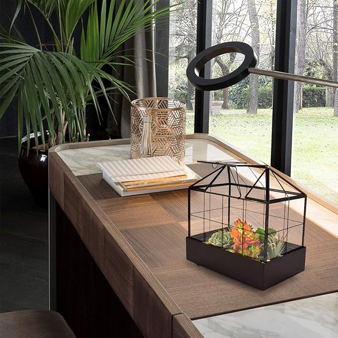 Large Tall Plant Terrarium Glass Greenhouse with Lid and Tray, Indoor Tabletop Orchid Succulent Cacti Kit 9.5'X9.8'X5.6'