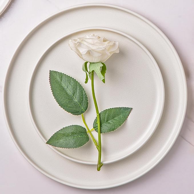 AmorArc Stoneware Dinner Plates Set of 4, 10.5 Inch Reactive Matte Glaze Ceramic Plates Set, Modern Dinnerware Dish set for Kitchen, Microwave, Dishwasher Safe, Scratch Resistant - Matte White