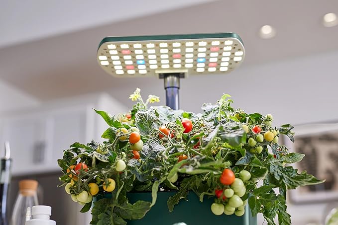 AeroGarden Harvest Lite, Indoor Garden Hydroponic System with LED Grow Light, Holds up to 6 AeroGarden Pods, Green