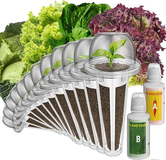 inbloom Salad Seed Pod Kit Compatible with AeroGarden, Ahopegarden, iDoo, MUFGA Hydroponics Growing System, 400+ Mixed Seeds with American Fast/Paris Island/Buttercrunch/Romaine Lettuce (12-Pod)