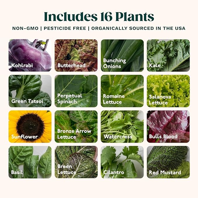 Gardyn Studio 1 Vertical Hydroponics Growing System Kit - 16 Non-GMO Plants, Herbs, Vegetables - Tower Garden - Hydroponic Herb Garden Planter Indoor Kit - Indoor Gardening System with LED Grow Lights