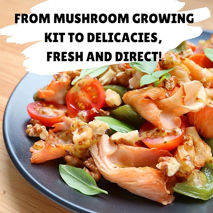 Pink Oyster Mushroom Growing Kit, Starter-Friendly & Fast Harvest Mushrooms Growing Kit, Handmade in USA, Great Gift