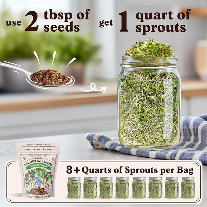 Seedboy Organic Sprouting Seeds - Immune System Booster Blend - Non-GMO, USA Grown - Broccoli, Purple Radish, Alfalfa - Makes 8 Quarts of Sprouts, 24 Servings (8 oz) (Immune System Booster Blend)