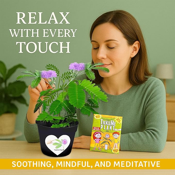 TickleMe Plant Seeds for Indoor Planting (2-Pack) – Interactive Party Favor | Leaves Close When Touched, Reopen in Minutes – Easy Indoor House Plant Seeds, Can Flower, Includes 10 Fun Activities