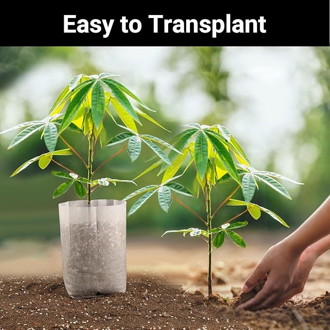 Nursery Grow Bags, 200 PCS Non-Woven Plants Grow Bags 7.8"x8.6", Solid Seed Starter Bags Fabric Seedling Pots Plants Pouch Home Garden Supply