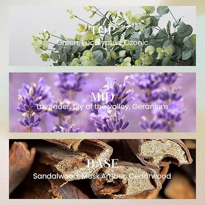 M&SENSE 10.14 oz Large Reed Diffuser Set | Lavender Glow Scent Oil Diffuser with Sticks | Hotel Collection Non-Toxic Essential Oil |for Bedroom Bathroom Living Room