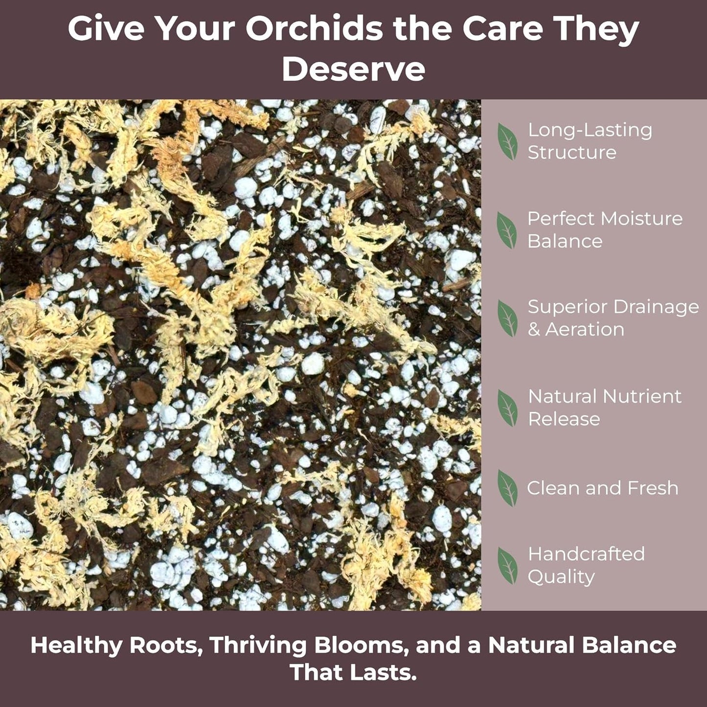 Orchid Potting Mix – Orchid Bark, Sphagnum Moss, Tree Fern & Perlite for Repotting Phalaenopsis Orchids, Indoor Plants, Orchid Soil Medium – Sustrato para Orquídeas (2 Quart)