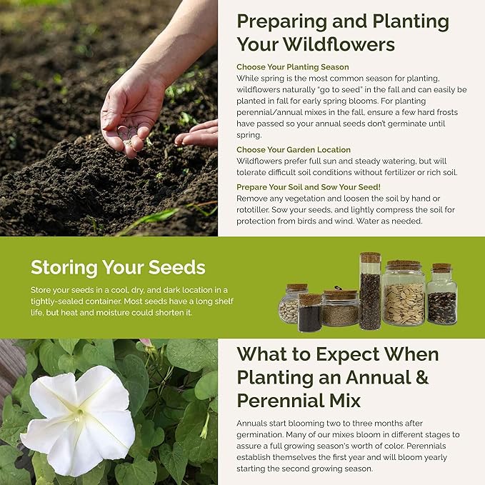 Eden Brothers Top O The Morning Flower Mixed Seeds for Planting, 1 lb, 480,000+ Seeds with Morning Glory, Moonflower | Attracts Pollinators, Plant in Spring or Fall, Zones 3, 4, 5, 6, 7, 8, 9, 10