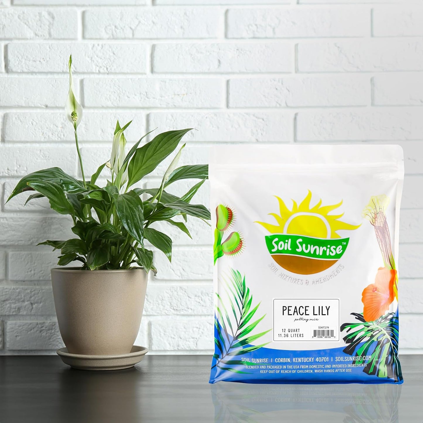 Peace Lily Potting Soil Mix (12 Quarts), for Planting, Growing, or Repotting Peace Lily Plants