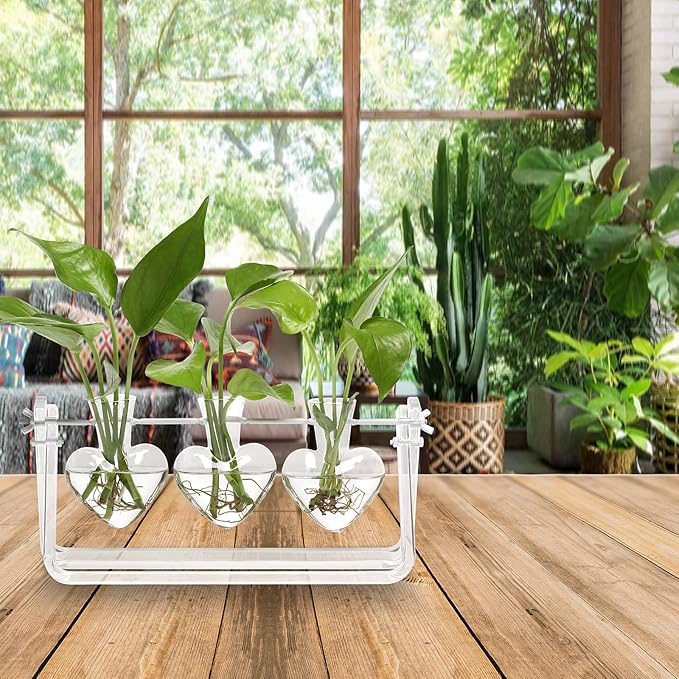 Clear Plant Terrarium Propagation Stations with Acrylic Stand Birthday Gifts for Women Office Home Decor