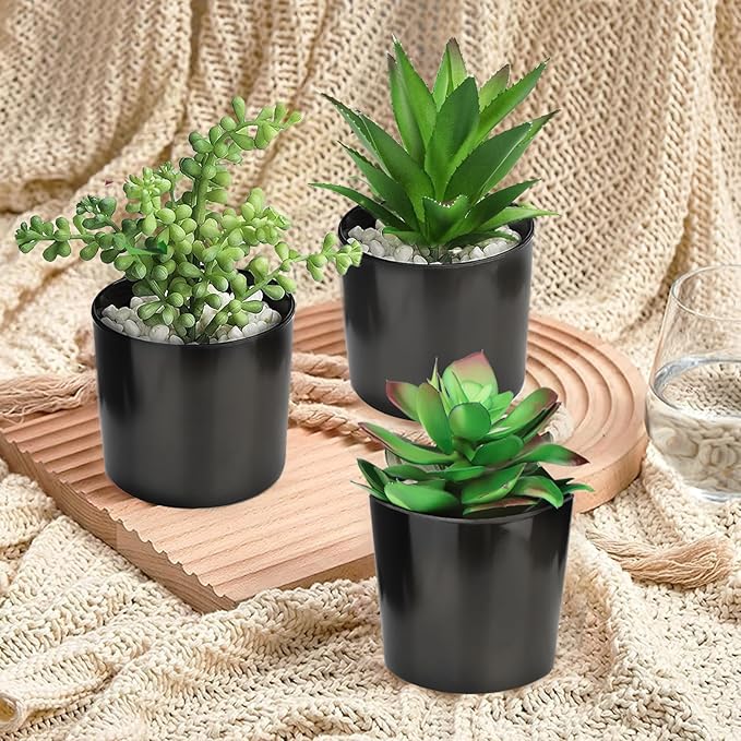 Hopewood Artificial Succulents Faux Potted Plant Decor, Small Fake Plants in Black Pot, Realistic and Lifelike for Book Shelf, Desk Decor, Home Office, Kitchen, or Bathroom Decor - Pack of 3