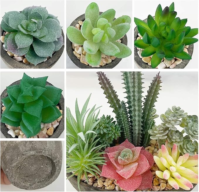 Succulents Plants Artificial Set of 5, Realistic Fake Succulents with Cement Like Pots for Home Office Decoration.