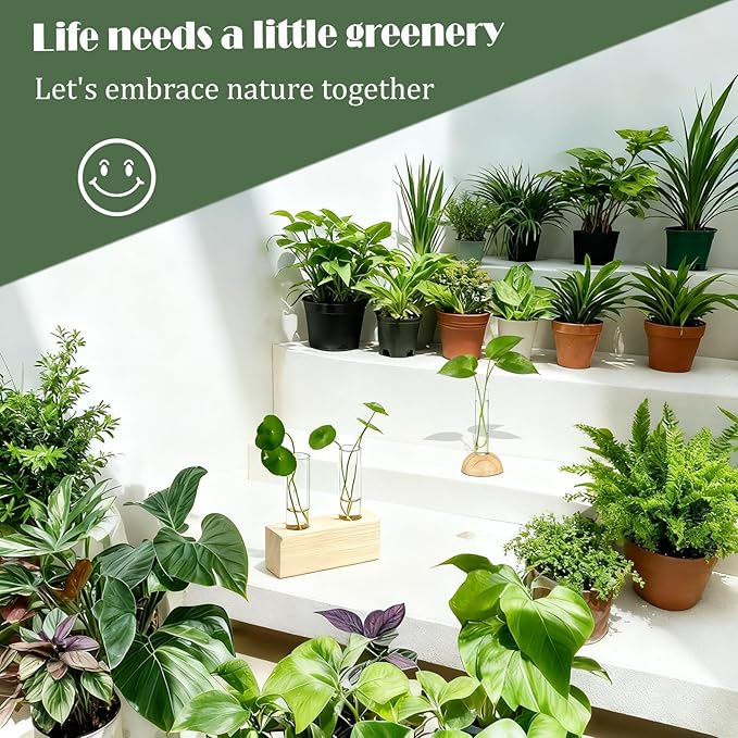 Desktop Glass Plant Propagation Station with 2 Tubes and Wooden Stand - Hydroponic Plant Cuttings Holder for Office Desk, Home Decor, Terrarium