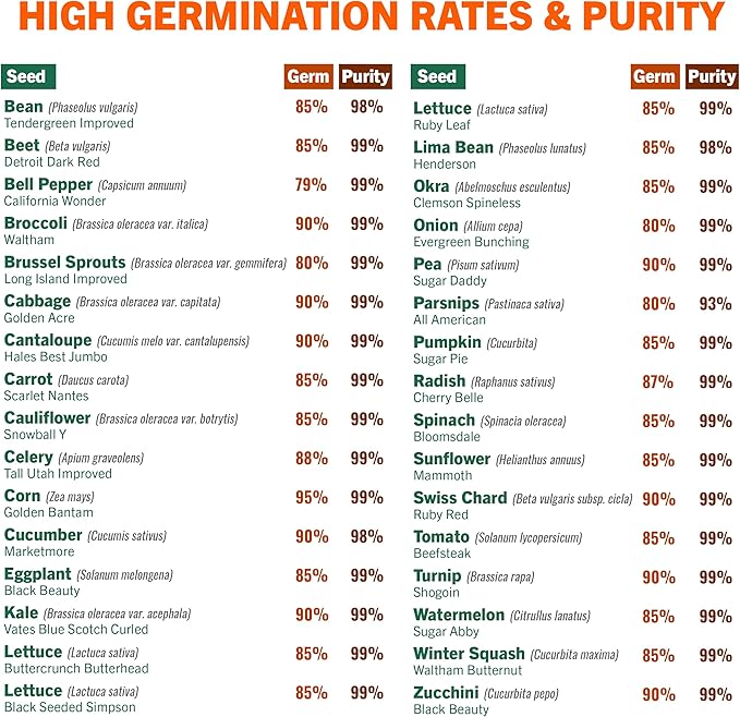 Open Seed Vault 15,000 Non GMO Heirloom Vegetable Seeds for Planting Vegetables and Fruits - 32 Variety Pack of Vegetable Seeds for Gardening, Survival Gear, Seed Vault Emergency Supplies Kit