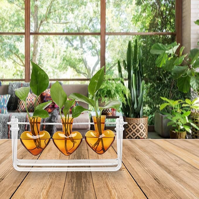 Clear Plant Terrarium Propagation Stations with Acrylic Stand Birthday Gifts for Women Office Home Decor