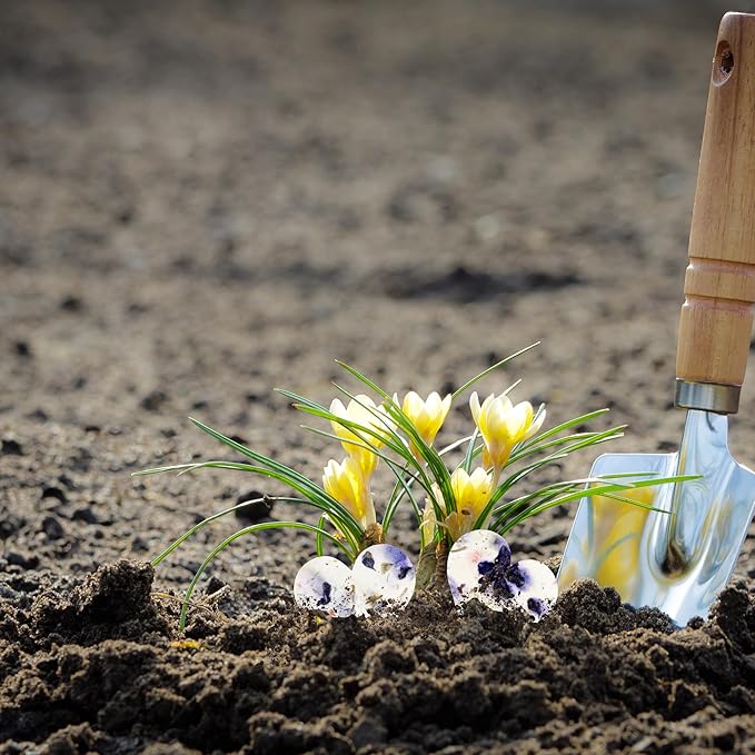 50 pcs Large Seed Paper – Purple Plantable Wildflower Hearts for Bridal Shower, Wedding Gift, Birthday, Mother's Day & Other Milestone Celebrations