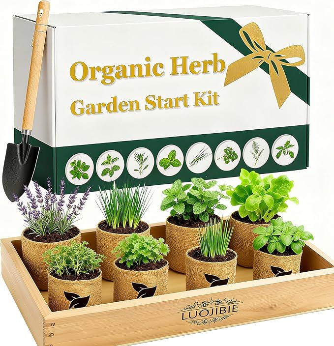 Organic Indoor Herb Garden Start Kit - Unique Gifts for Women, Christmas Gifts for Adults, Easy House Plant- Birthday for Women,House Warming Gift New Home- Fresh Herb Garden DIY Crafts for Adults