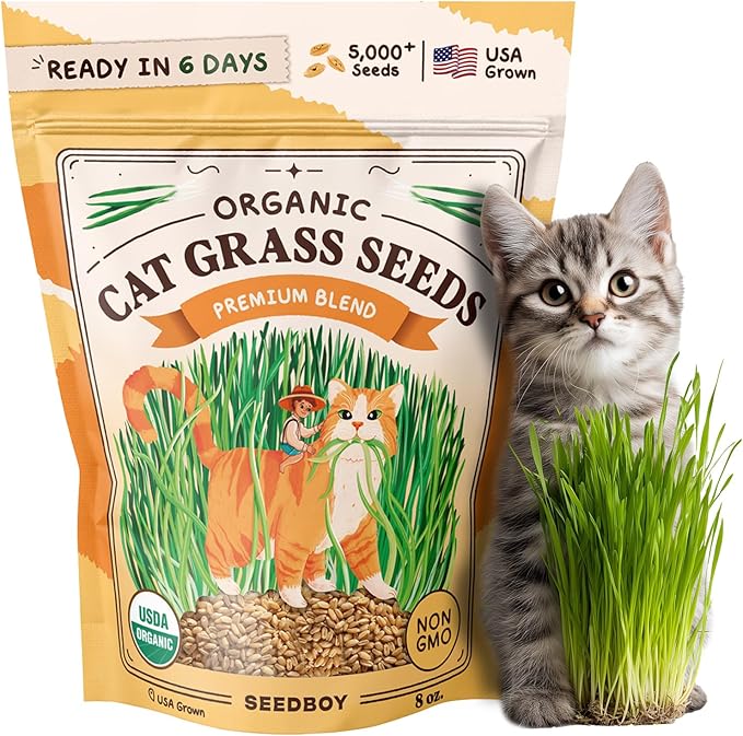 Seedboy Organic Cat Grass Seeds for Planting, Non-GMO Wheat, Oat, Rye, and Barley Pet Grass Seeds for Indoor Cats (8 oz)
