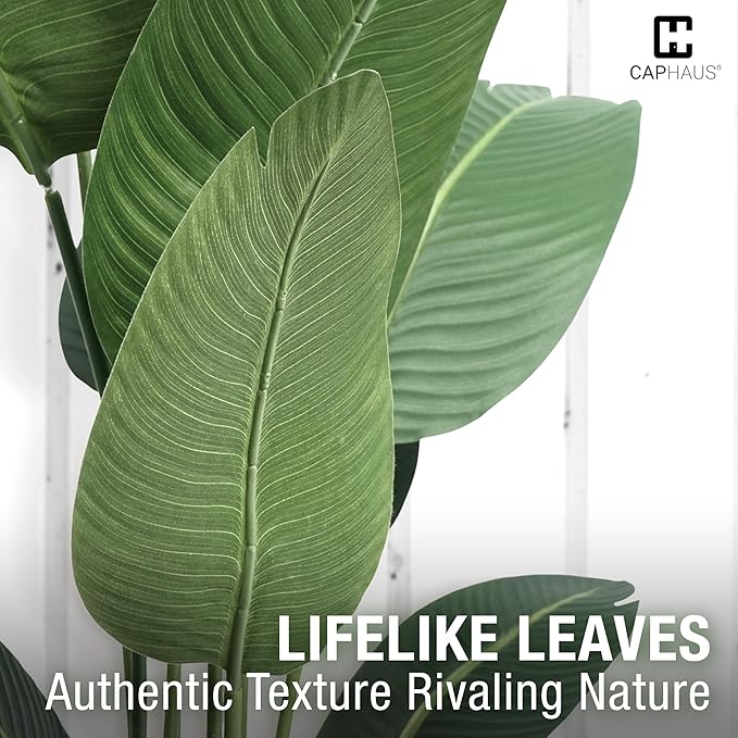 CAPHAUS 6 Feet Artificial Bird of Paradise, 72 Inch with 13 Trunks, Premium UV Resistant Lifelike Fake Plant in Pot with Dried Moss for Office, Indoor/Outdoor Use & Tropical Home Décor