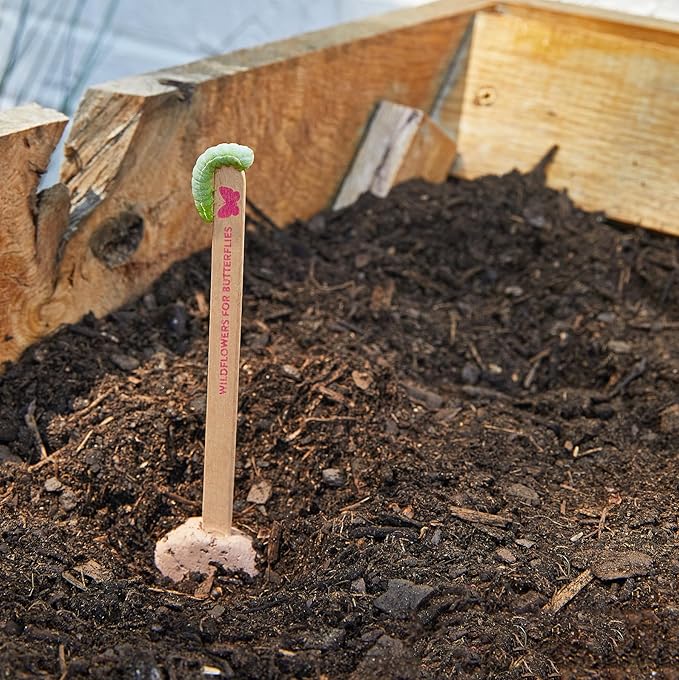 Modern Sprout Seed Pops - Organic Non-GMO Carrot, Strawberry & Basil Seeds for Planting - Fun Family Activity - Ideal for Indoor & Outdoor - Playful Gift for Kids, Adults and Plant Lovers (Pack of 12)